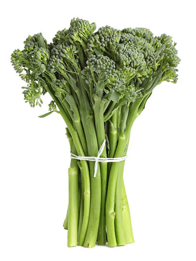 Broccolini Gailon Broccoli — Fresh Produce