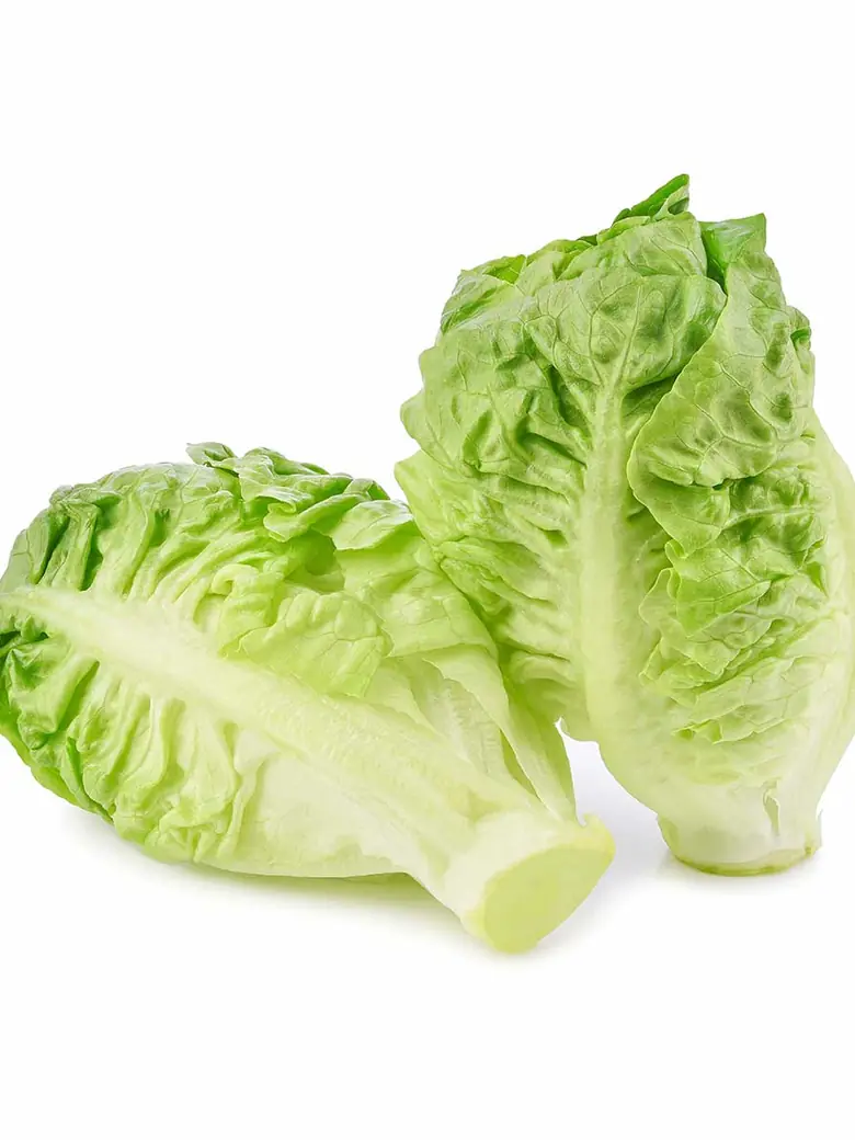 Gem Lettuce — Fresh Produce