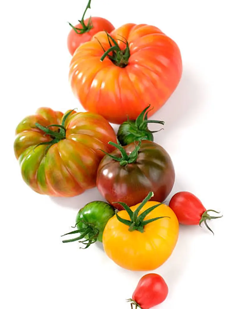 Heirloom Tomato — Fresh Produce