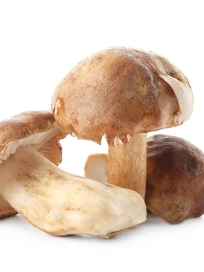 Porchini Mushroom — Fresh Produce