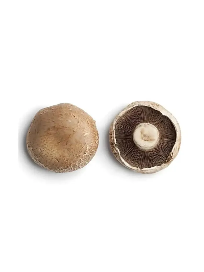 Portobello Mushroom — Fresh Produce
