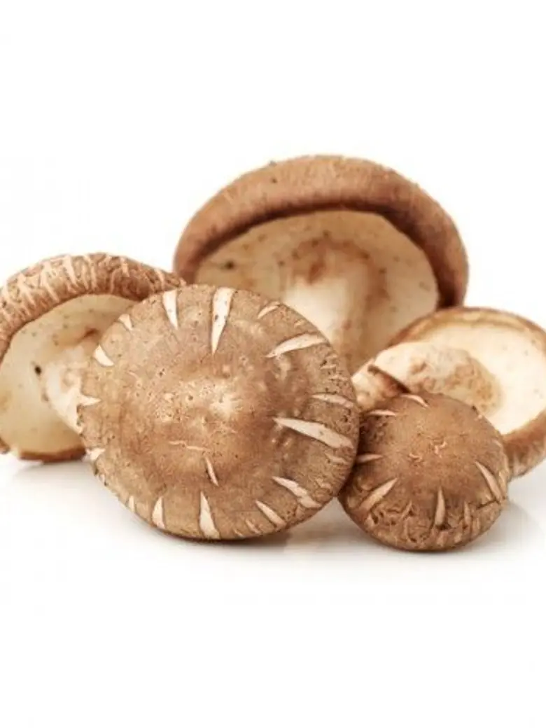 Shitake Mushroom — Fresh Produce