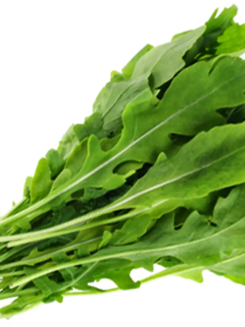 Wild Roquette Arugula Leaves — Fresh Produce