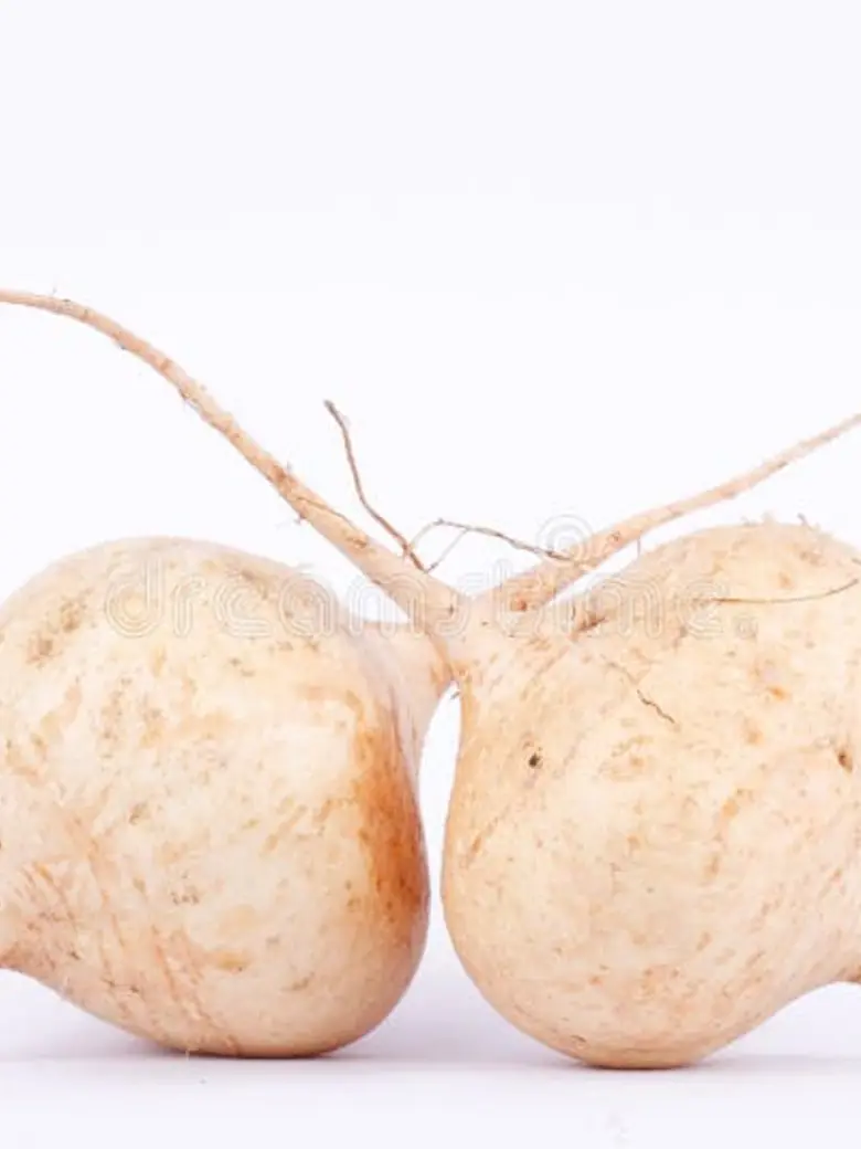 Yam Bean — Fresh Produce